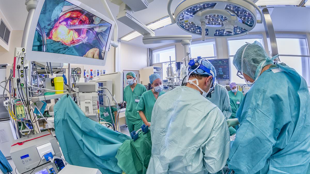 Obesity surgery is the most effective way of preventing premature deaths from weight-related illnesses such as heart disease, diabetes and cancer, research finds