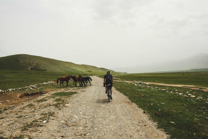 A cyclist cycles towards some wild horses on a dirt track
