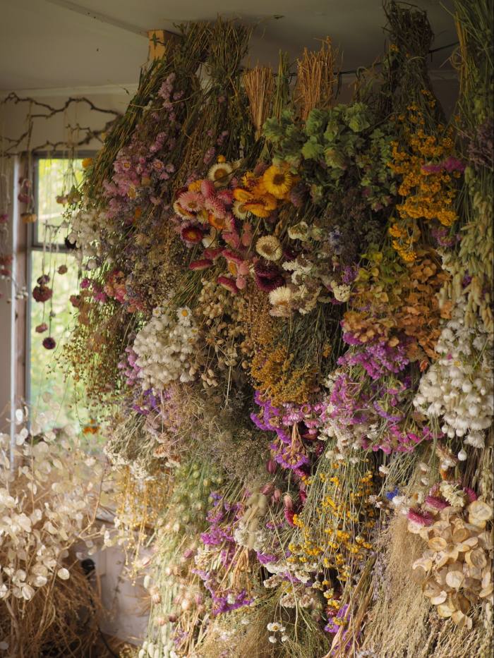 Bex Partridge’s studio in Devon with dried flowers hanging on the wall for future projects