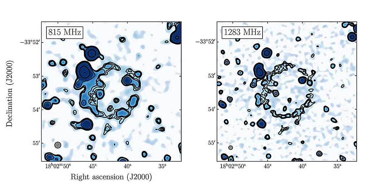 MeerKAT observations detect a mysterious faint radio ring