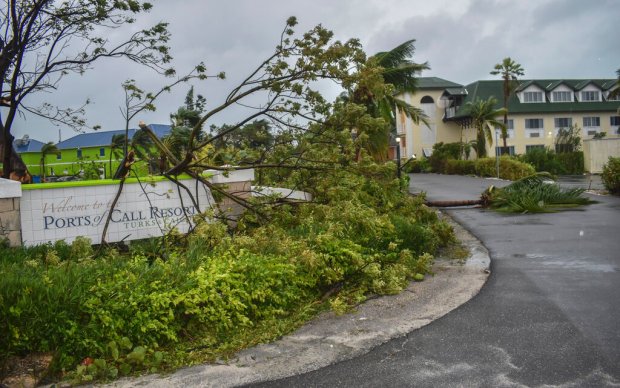 Fallen trees lay over the Ports of Call Resort entrance...