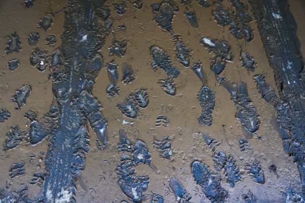 Footprints are marked on the mud after Hurricane Fiona passed...