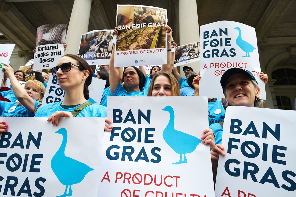 Did activists ever stop to think that foie gras ducks get to stay alive, unlike so many other animals who meet a brutal end before arriving at their dinner tables?